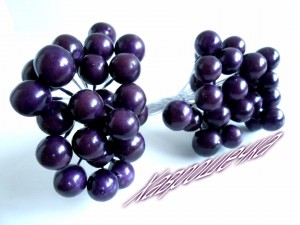 Калина глянцева ФІОЛЕТОВА